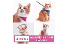 ぽぽねこギフト券（Eメールタイプ）9,000円分「共通返礼品」 デジタル商品券 オンラインショップ 電子マネー 猫 ネコ