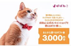 ぽぽねこギフト券（封筒タイプ）3,000円分「共通返礼品」 商品券 オンラインショップ 猫 ネコ