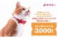 ぽぽねこ ギフト券 3,000円分（封筒タイプ）