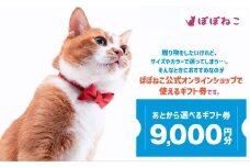 ぽぽねこギフト券（封筒タイプ）9,000円分「共通返礼品」  商品券 オンラインショップ 猫 ネコ