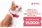 ぽぽねこ ギフト券 15,000円分（封筒タイプ）