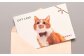 ぽぽねこ ギフト券 15,000円分（封筒タイプ）
