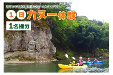 那珂川１日カヌー体験 カヤック 体験チケット レジャー 那珂川 茨城県 ho0917