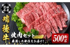 瑞穂牛焼肉セット 約500g 牛肉 やきにく バラ 肩ロース 肩 肩バラ トモサンカク イチボ ブランド牛 冷凍配送 茨城県 お中元 焼肉の日 敬老の日 瑞穂牛 焼肉 10種 盛り合わせ 食べ比べ 国産 肉 BBQ セット ho0858