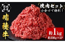 瑞穂牛挽肉セット 約1Kg 1000g 牛肉 瑞穂牛 ひき肉 ブランド牛 茨城県 ミンチ 冷凍配送 200g×5袋パック 小分け 牛ミンチ 和牛 お肉 肉 おにく にく 国産牛 挽き肉 挽肉 お取り寄せ グルメ ハンバーグ キーマカレー 特産品 冷凍 ho0865
