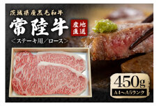 瑞穂農場で育てた常陸牛ロースステーキセット 約450g (2枚入り) 国産 和牛 黒毛和牛 牛肉 肉 茨城 常陸牛 ブランド牛 ロース ステーキ ソース 付 霜降り BBQ 冷凍 A4 A5 等級 ギフト 贈り物 贈答 【（株）フロンティアロード】【ho0898】