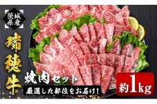 瑞穂牛焼肉セット 1.0Kg 牛肉 やきにく バラ 肩ロース 肩 肩バラ トモサンカク イチボ ブランド牛 冷凍配送 茨城県 お中元 焼肉の日 敬老の日 常陸牛 焼肉 盛り合わせ 食べ比べ 国産 肉 BBQ セット ho0903