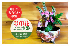 彩印花ミニ水盤 生け花 華道 コンパクト オシャレ 茨城県 ho0846
