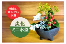 炭化ミニ水盤 生け花 華道 コンパクト オシャレ 茨城県 花器 水盤 陶器 和風 浅型 平鉢 盆栽鉢 山野草鉢 陶器鉢 フラワーベース 盆栽 苔 観葉植物 活花 生花 和モダン ハイドロカルチャー ho0847
