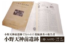 小野天神前遺跡 1冊 弥生時代 報告書 発掘調査 茨城県 ho1311