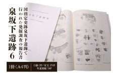 泉坂下遺跡6 1冊 弥生時代 報告書 発掘調査 茨城県 ho1314