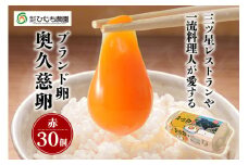 三ツ星レストランや一流料理人が愛するブランド卵『奥久慈卵』赤 30個 たまご タマゴ 鶏卵 玉子 卵 ミネラル 冷蔵便 茨城県 新鮮 臭みのないおいしい卵 赤卵 食品 普段使い用 パック包装 産地直送 養鶏場直送 こだわり卵 安全 ho1312