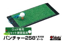 タバタ Tabata パンチャー258 ヒモ付きボールGV0258 練習 ゴルフ コンパクト トレーニング 茨城県 ho1320