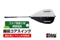 タバタ Tabata 藤田コアスイング GV0233 練習 ゴルフ トレーニング 素振り 安定 茨城県 ho1329