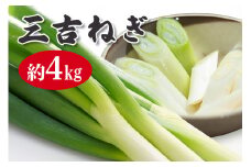 特選ネギ 約4kg 小野瀬農園 ho1416