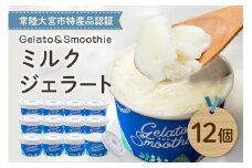 Gelato＆Smoothie ミルクジェラート 12個 スイーツ アイス おやつ デザート ミルク 【元気な郷づくり（株）】【ho1384】