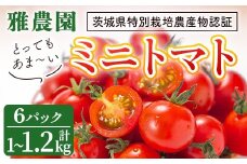 ＜予約受付中＞雅農園ミニトマト6パック トマト 野菜 とまと やさい 新鮮 産地直送 ミニトマト ＜2025年11月から発送開始＞ 【雅農園】【ho1428】