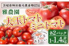 ＜予約受付中＞雅農園ミニトマト＆大玉トマトセット  トマト 野菜 とまと やさい 新鮮 産地直送 ミニトマト＜2025年11月から発送開始＞ 【雅農園】【ho1430】