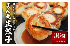 まん丸生餃子冷凍30g×36個入り（1pac 6個入り）餃子 生餃子 国産豚肉 焼餃子 ぎょうざ ギョウザ ギョーザ 冷凍餃子 冷凍生餃子 小分け お取り寄せ 惣菜 中華惣菜 点心 中華 惣菜 中華料理 飲茶 おかず おつまみ そうざい男しゃく 茨城県 常陸大宮 ho1438