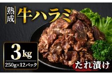 熟成牛ハラミ 3kg (250g×12パック) たれ 味付 小分け 冷凍 焼肉 焼き肉 牛 牛肉 ビーフ ハラミ BBQ 【そうざい男しゃく】【ho1470】