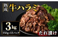 熟成牛ハラミ 3kg (250g×12パック) たれ 味付 小分け 冷凍 焼肉 焼き肉 牛 牛肉 ビーフ ハラミ BBQ 【そうざい男しゃく】【ho1470】
