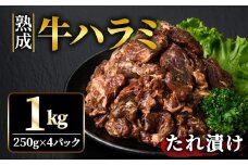 熟成牛ハラミ 1kg (250g×4パック) たれ 味付 小分け 冷凍 焼肉 焼き肉 牛 牛肉 ビーフ ハラミ BBQ 【そうざい男しゃく】【ho1468】