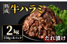 熟成牛ハラミ 2kg (250g×8パック) たれ 味付 小分け 冷凍 焼肉 焼き肉 牛 牛肉 ビーフ ハラミ BBQ 【そうざい男しゃく】【ho1469】