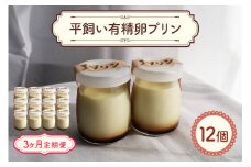環の花 平飼い有精卵プリン 12個 3ヶ月定期便 スイーツ お菓子 濃厚 新鮮 国産 ぷりん 冷蔵 おやつ デザート たまご 贈り物 グルメ プレゼント 洋菓子 プリン スイーツギフト 詰め合わせ 誕生日 内祝い 定期便 【環の花】【ho1395】