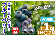 冷凍ブルーベリー1kg ブルーベリー 果物 フルーツ 青果物 冷凍 スムージー ヨーグルト おやつ 【奥久慈 まほろばの郷 ふれあい農園】【ho1524】