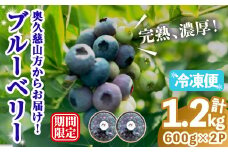 冷凍ブルーベリー1.2kg ブルーベリー 果物 フルーツ 青果物 冷凍 スムージー ヨーグルト おやつ 【奥久慈 まほろばの郷 ふれあい農園】【ho1523】