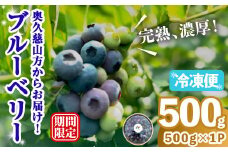 冷凍ブルーベリー500g ブルーベリー 果物 フルーツ 青果物 冷凍 スムージー ヨーグルト おやつ 【奥久慈 まほろばの郷 ふれあい農園】【ho1521】
