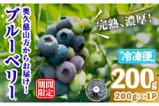 冷凍ブルーベリー200g ブルーベリー 果物 フルーツ 青果物 冷凍 スムージー ヨーグルト おやつ 【奥久慈 まほろばの郷 ふれあい農園】【ho1520】