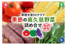 【産地直送】季節の奥久慈野菜 詰め合せセット（春、夏、秋、冬） 野菜 野菜セット 季節 セット 特産 詰め合わせ 国産 旬 おまかせ お楽しみ 直送 【常陸大宮5Hクラブ】【ho1483】