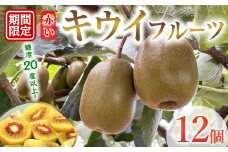 【先行予約】茨城県産 あかいキウイ 化粧箱12個入り キウイ キウイフルーツ 果物 フルーツ 青果物 【こばしファーム】【ho1549】