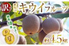 【先行予約】【訳あり】茨城県産 黄色いキウイ 4.5㎏ 訳あり 訳アリ キウイ キウイフルーツ 果物 フルーツ 青果物 【こばしファーム】【ho1550】