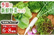 季節毎の新鮮野菜セット 野菜 野菜セット セット 詰め合わせ 国産 旬 季節 おまかせ お楽しみ 冷蔵 【あさねぼう】【ho1537】