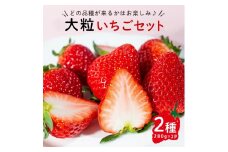 【先行予約】大粒いちごセット 280g×2パック 送料無料 イチゴ 苺フルーツ 果物 くだもの デザート 茨城県 常陸大宮市 【つづく農園】 【ho1573】