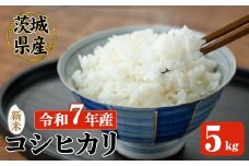 【先行予約】 常陸大宮産 コシヒカリ 5kg 米 お米 新米 令和7年 精米 白米 米 こめ コメ ご飯 ごはん コシヒカリ こしひかり 5kg 5キロ【JA常陸　常陸農業協同組合】【ho1574】