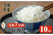 【先行予約】 常陸大宮産 コシヒカリ 10kg 米 お米 新米 令和7年 精米 白米 米 こめ コメ ご飯 ごはん コシヒカリ こしひかり 10kg 10キロ【JA常陸　常陸農業協同組合】【ho1575】