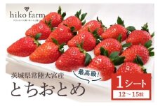 【先行予約】いちごのおくりもの（最高級とちおとめ）１シート（12～15粒） いちご イチゴ 苺 とちおとめ フルーツ 果物 くだもの デザート 【hiko farm（ヒコファーム）】【ho1569】
