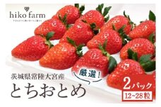 【先行予約】ごほうびいちご（厳選とちおとめ）2パック入り（12～28粒）黒パッケージ いちご イチゴ 苺 とちおとめ フルーツ 果物 くだもの デザート 【hiko farm（ヒコファーム）】 【ho1571】