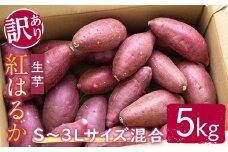 【予約受付中！】【訳あり】サツマイモ（紅はるか） 5kg S～3Lサイズ混合 訳あり わけあり さつまいも サツマイモ べにはるか 紅はるか 生芋 なまいも 常温 ＜2025年12月以降順次発送＞ 【桑原農園】【ho1580】