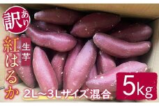 【予約受付中！】【訳あり】サツマイモ（紅はるか） 5kg 2L～3Lサイズ混合 訳あり わけあり さつまいも サツマイモ べにはるか 紅はるか 生芋 なまいも 常温 ＜2025年12月以降順次発送＞ 【桑原農園】【ho1580】