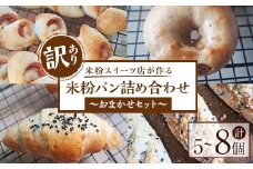 【訳あり】グルテンフリー 酒種酵母の米粉パン詰め合わせ 訳あり パン 詰め合わせ セット 米粉 あんぱん ベーグル カンパーニュ 食パン ギフト 贈答 贈り物 冷凍  グルテンフリー【米粉スイーツKu-】【ho1568】