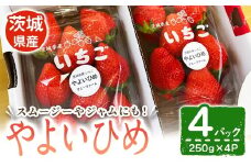 【先行予約】いちご（やよいひめ） いちご イチゴ 苺 やよいひめ フルーツ 果物 くだもの デザート スムージー ジャム 【株式会社mommy farm】【ho1593】