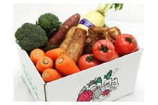 季節の採れたて野菜の詰め合わせ 新鮮野菜 詰め合わせ 那珂市産 茨城県産 国産 旬野菜 セット 新鮮 野菜セット 野菜 野菜BOX 旬 厳選 食材 産地直送 お取り寄せ グルメ 季節 野菜詰合わせ おまかせ