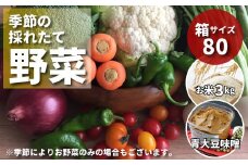 産地直送 採れたて野菜BOX 野菜セット 詰め合わせ 季節野菜 やさい 産地直送 旬 新鮮