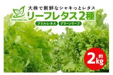 リーフレタスセット 約2Kg 那珂市産 新鮮 レタス リーフレタス フリルレタス グリーンリーフ 無農薬 野菜 栽培期間中農薬不使用 詰め合わせ セット 水耕栽培 LED 栽培 ベジタブル 副菜 常備菜 サラダ ヴィーガン ヘルシー