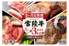 3ヵ月定期便 常陸牛どどーんっ！と定期便 総重量約3Kg超え 茨城県共通返礼品 常陸牛 ステーキ 切り落とし すき焼き 焼肉 黒毛和牛 最高級ブランド お中元 牛肉 上品な脂の甘さ 牛丼 肉ギフト 霜降り ブランド牛 国産牛 しゃぶしゃぶ 冷凍 茨城