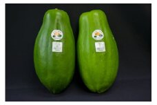サンパパイヤ パパイヤ 青果 食物繊維 ミネラル ビタミン 葉酸 ポリフェノール スーパーフード 酵素の王様 パパイヤ フルーツ 果物 しりしり 冷凍 サラダ おかず 和え物 炒め物